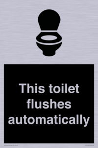 This toilet flushes automatically